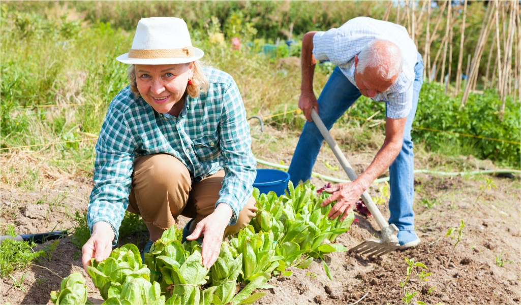 Болит спина