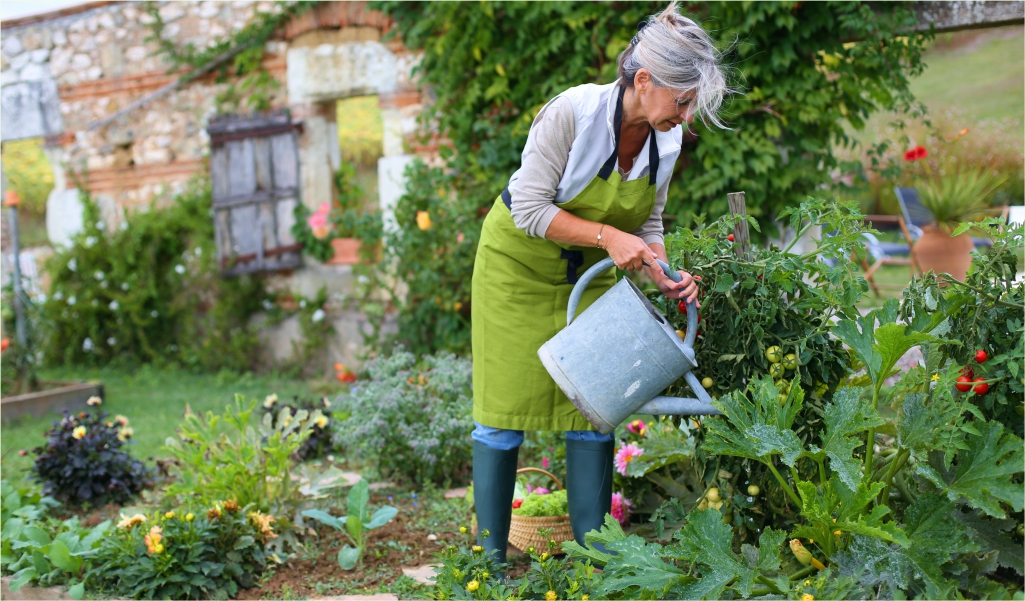 Больная спина при работе в огороде
