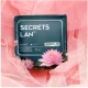 Прокладки женские Secrets Lan