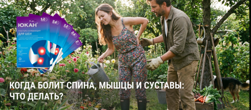 После дачи и генуборки: какие пластыри выбрать при боли и дискомфорте в спине, мышцах, суставах, шее и ногах